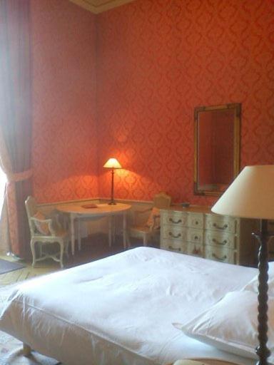 Chateau Du Marechal De Saxe Yerres Habitación foto